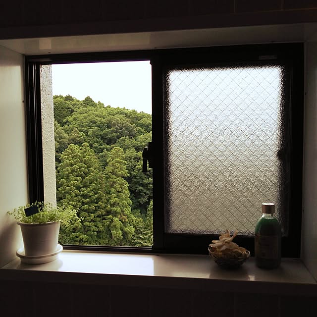 バス/トイレ/ベビーティアーズ/観葉植物/NO GREEN NO LIFE/green...などのインテリア実例 - 2016-06-04 11:40:04