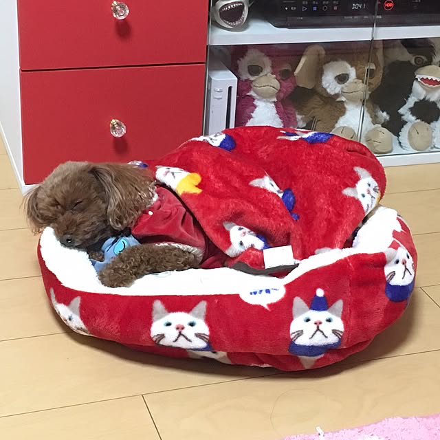 Hecacoさんの実例写真