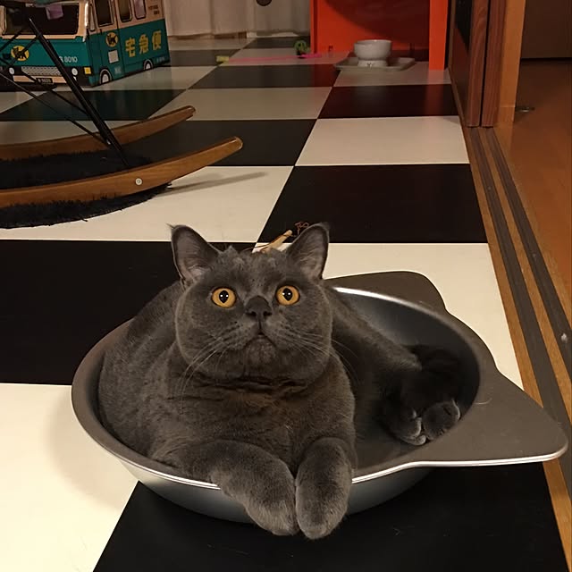 Shojiさんの実例写真
