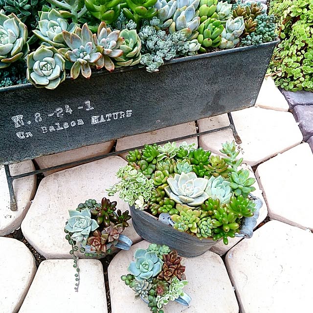 chachamaruさんの実例写真