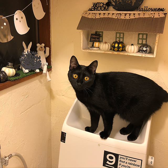 RUNRUNさんの実例写真