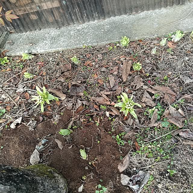 sumimarumiさんの部屋