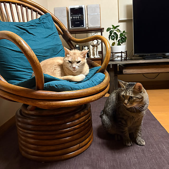 mikan161さんの実例写真