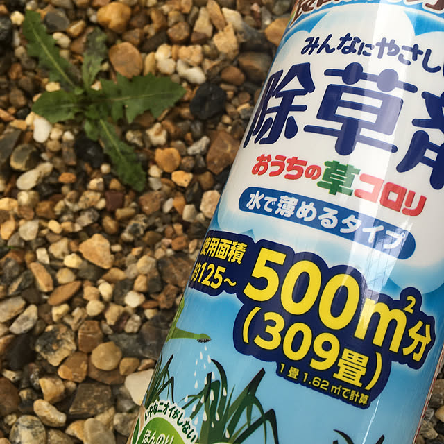 PEKO3_3さんの実例写真