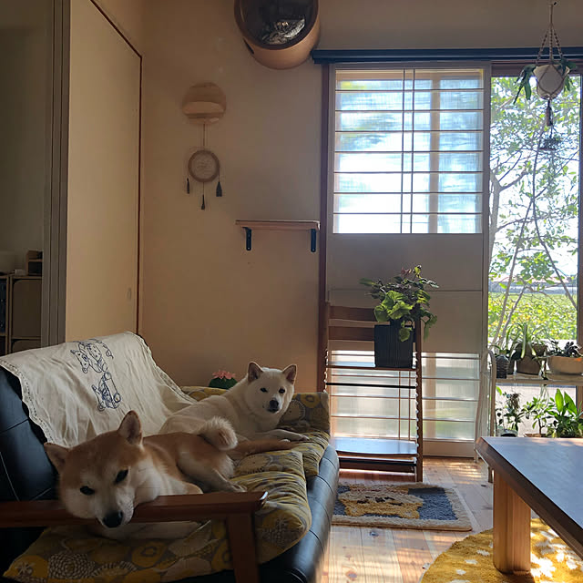 Kintaroさんの実例写真