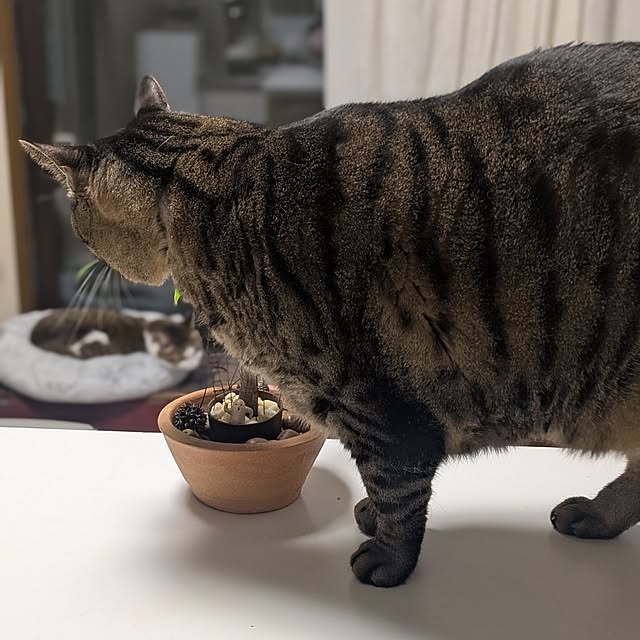 mori_6_12さんの部屋