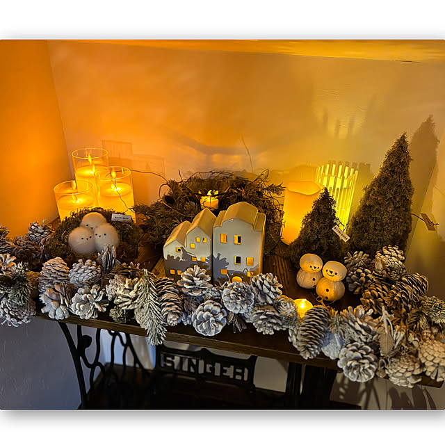 usagiさんの実例写真