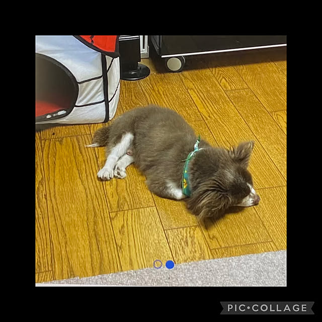 chIoeさんの部屋