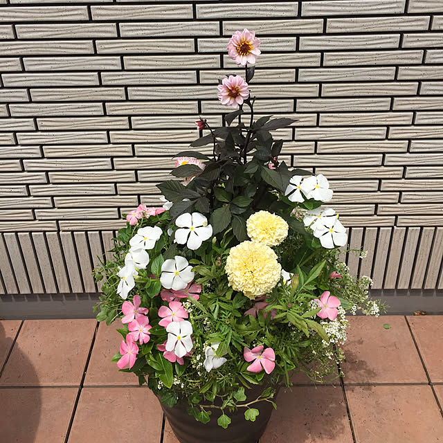 nonさんの実例写真