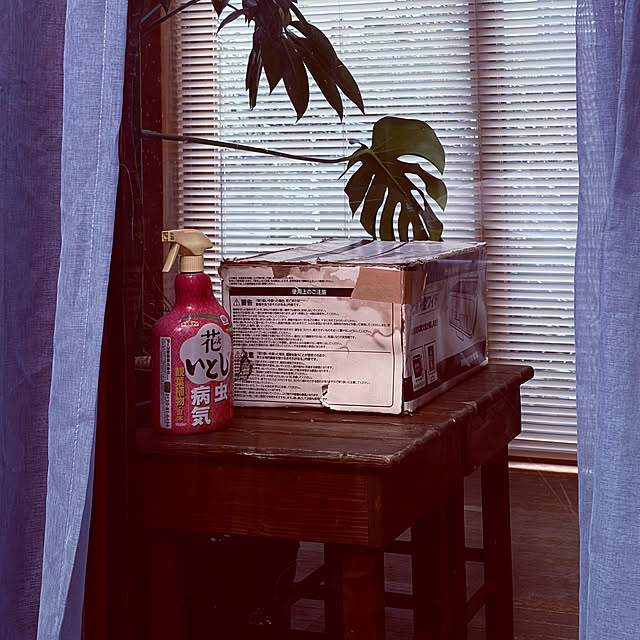 chacoさんの部屋