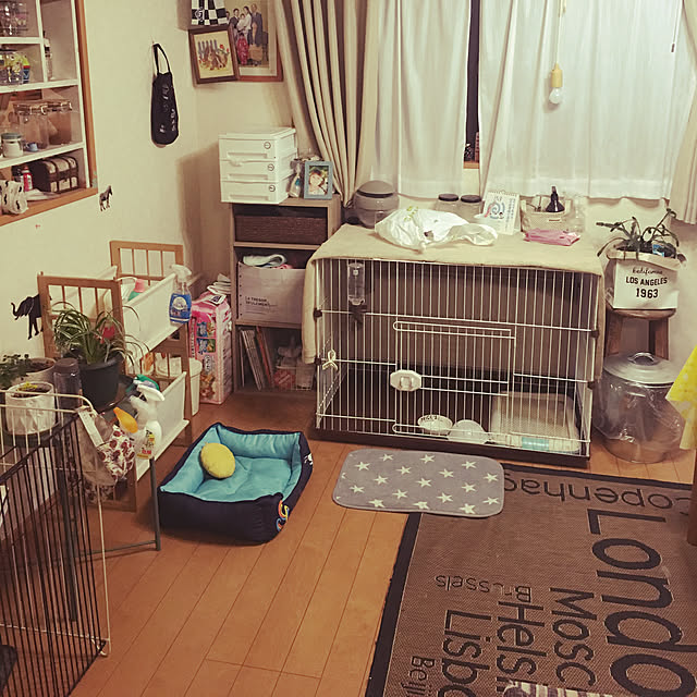 Mikaさんの実例写真