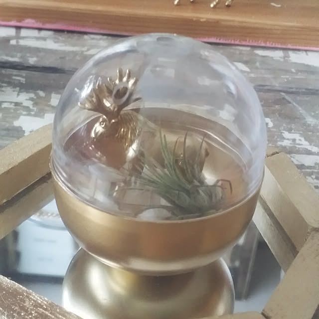 annさんの実例写真