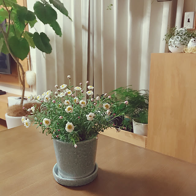 yukaさんの実例写真