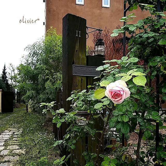 olivierさんの実例写真