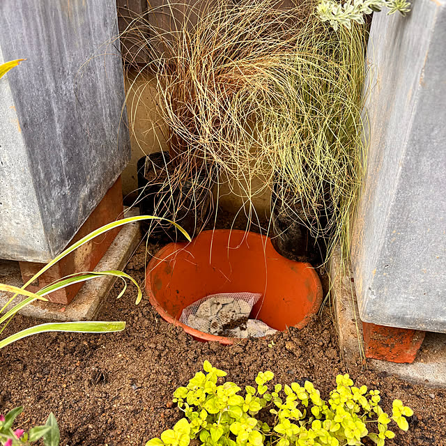 mamichopさんの部屋