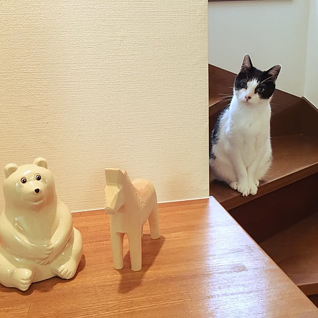 suyasuyaneko3さんの実例写真