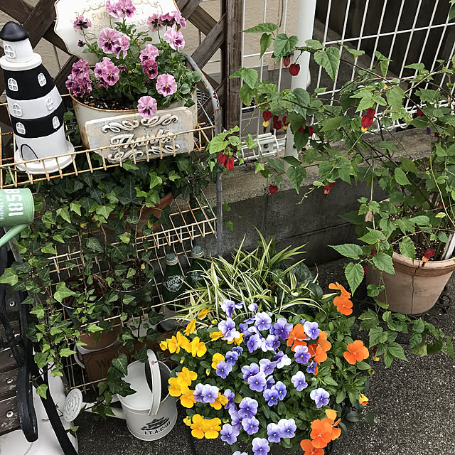 tanomamaさんの実例写真