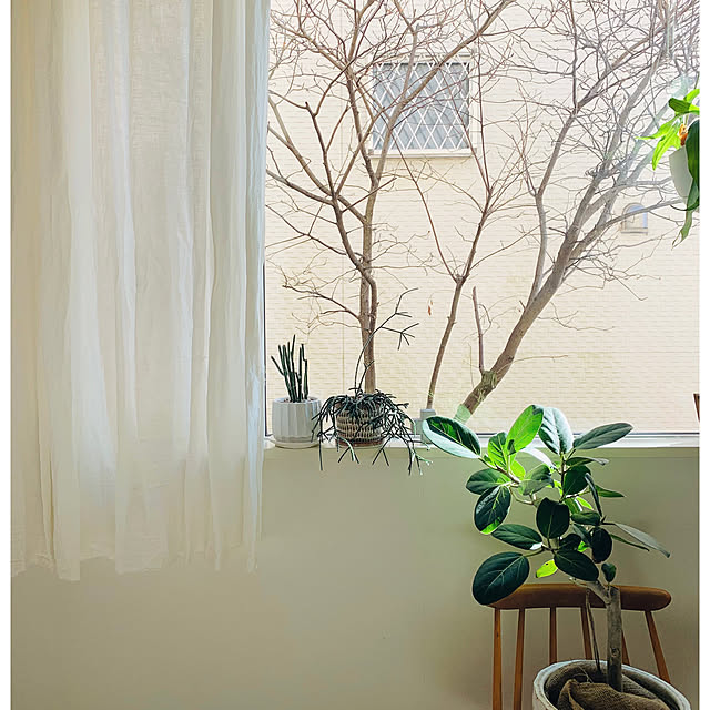 mogさんの部屋