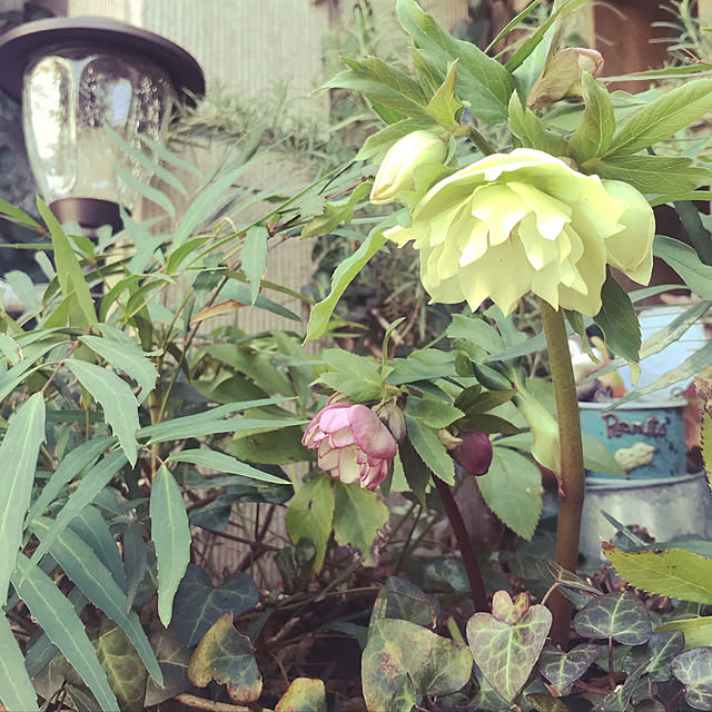 satominさんの実例写真