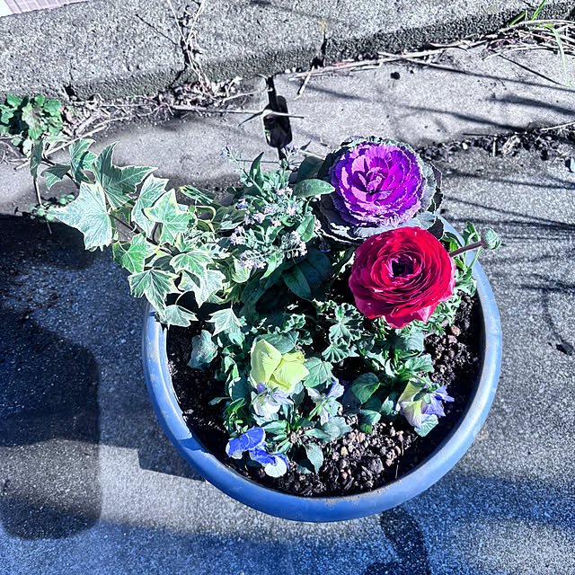 Yukikokoさんの実例写真