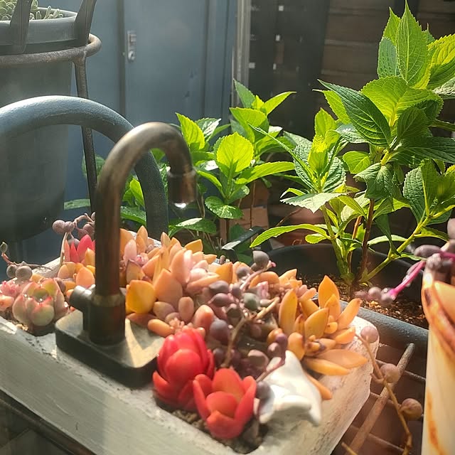 teamoさんの実例写真