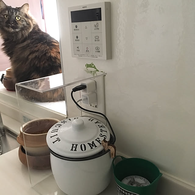 mikomaruさんの実例写真