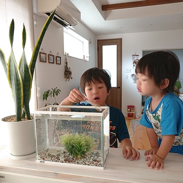 ri-eさんの実例写真