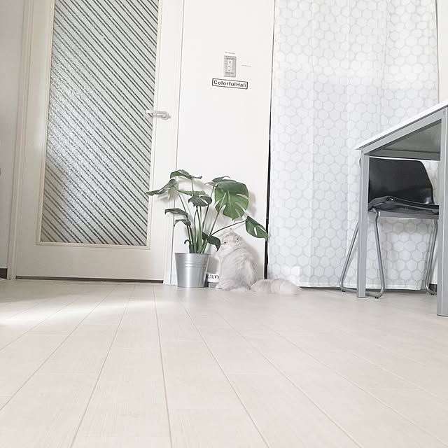 cocoさんの実例写真