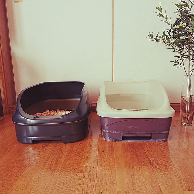 botanさんの実例写真