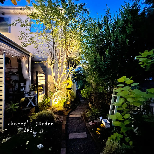 cherryさんの実例写真