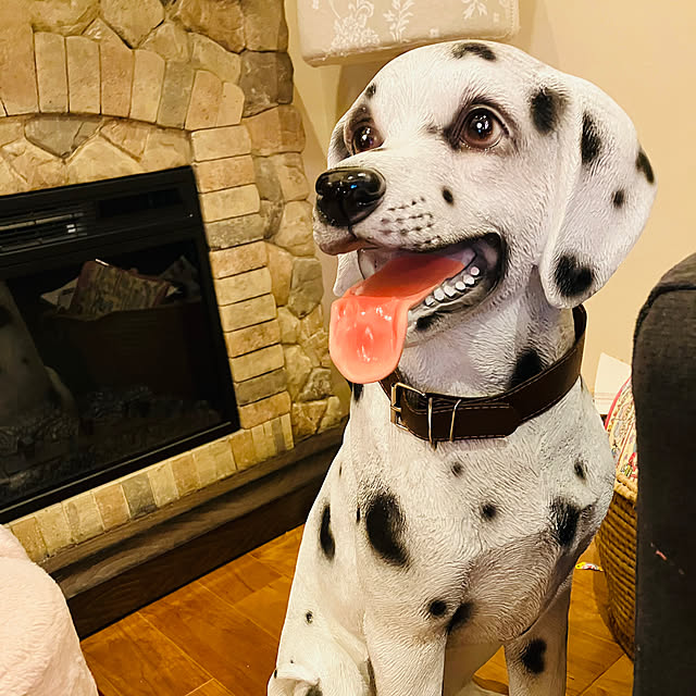 AKIRAさんの実例写真