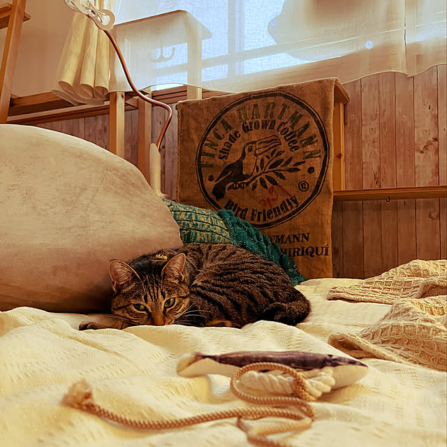 Mさんの実例写真