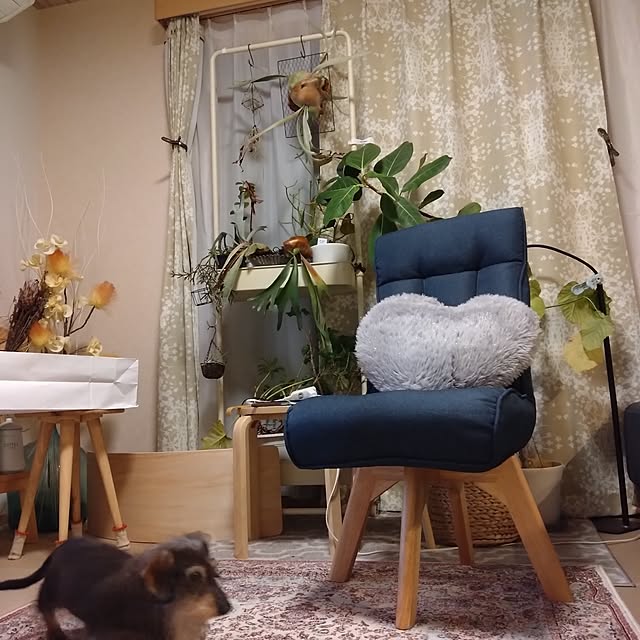 chocococoaさんの部屋