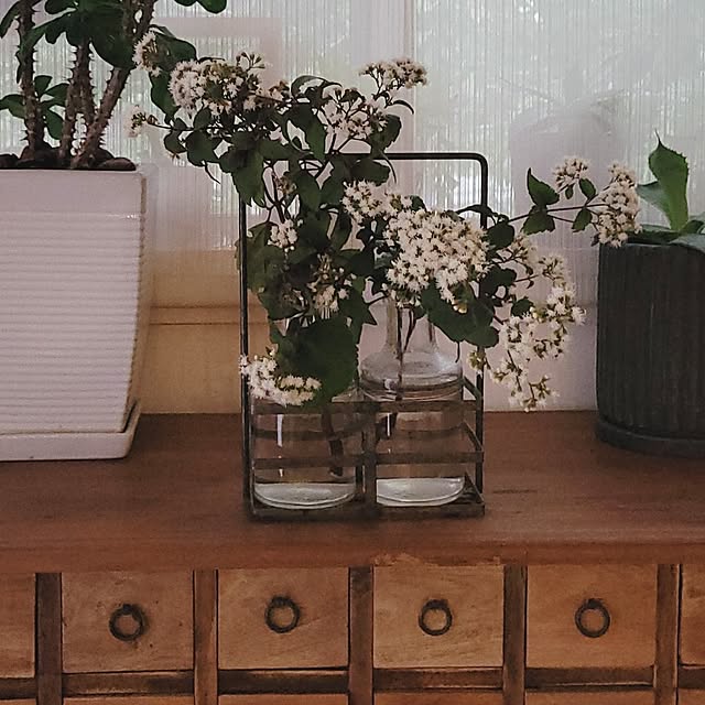 masarinn.さんの実例写真