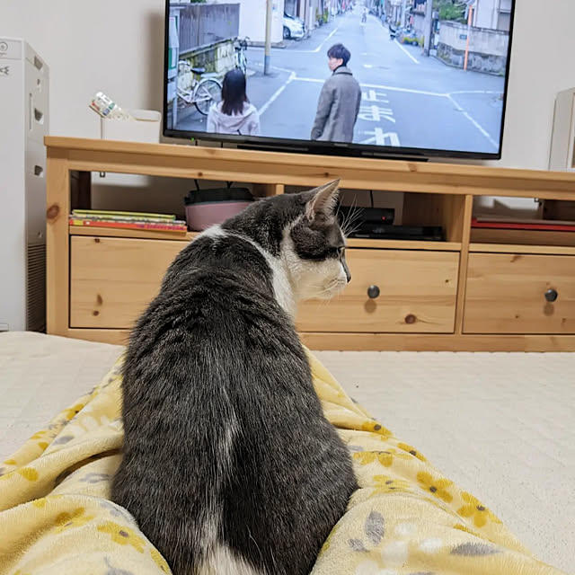 papyjetさんの実例写真