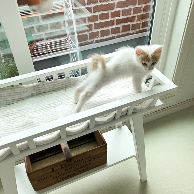 yuchiさんの実例写真
