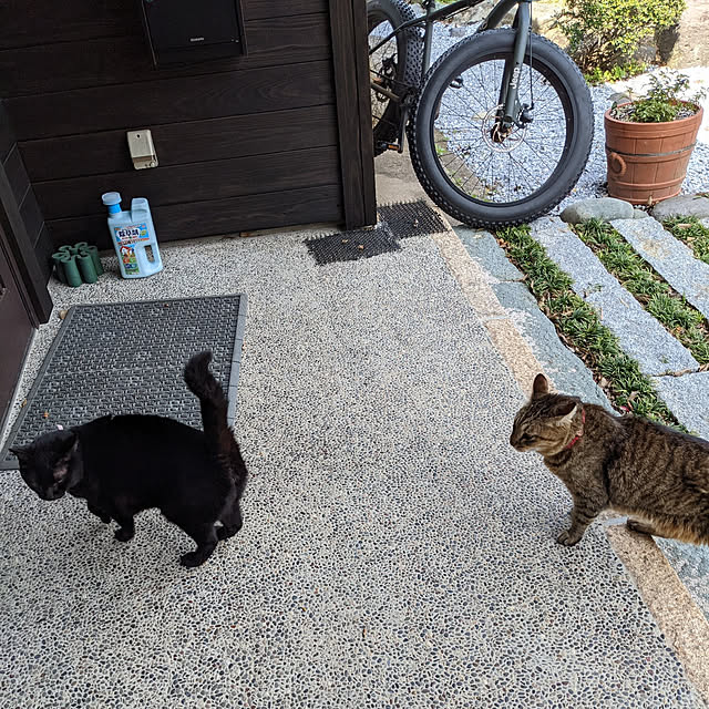 chiibou5223さんの実例写真