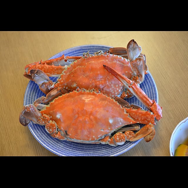 Hiroさんの実例写真