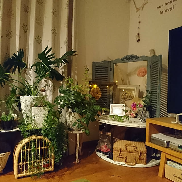 akiさんの実例写真