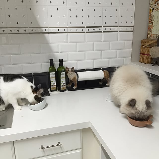 yuchiさんの実例写真