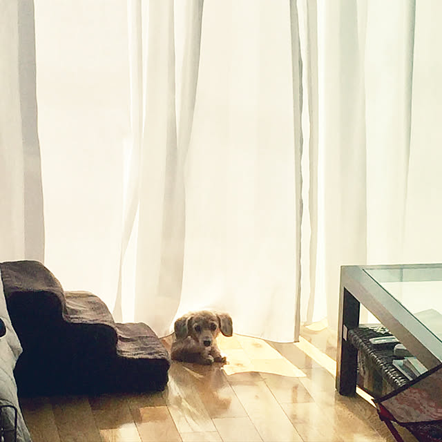 kamomeさんの実例写真