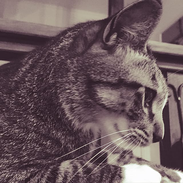 tsukiyuzuさんの実例写真