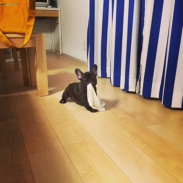 yuka1202さんの実例写真