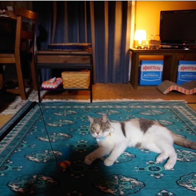 fukuさんの部屋
