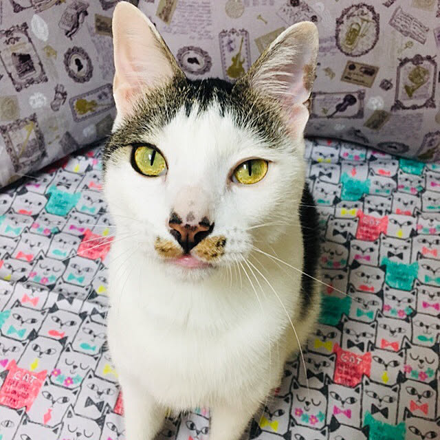 pcu110さんの実例写真