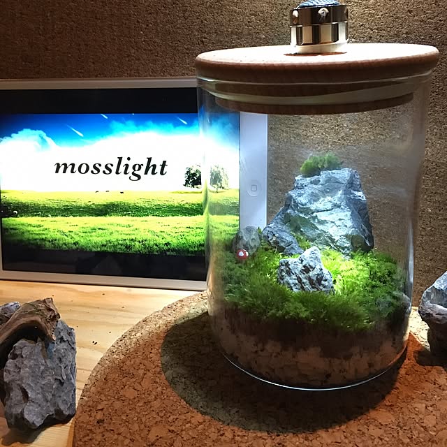 mosslightさんの実例写真
