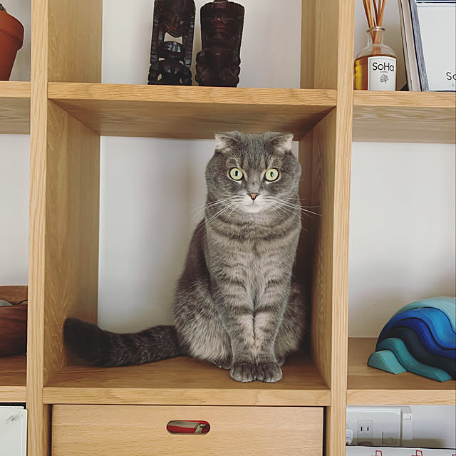 Boushiさんの実例写真