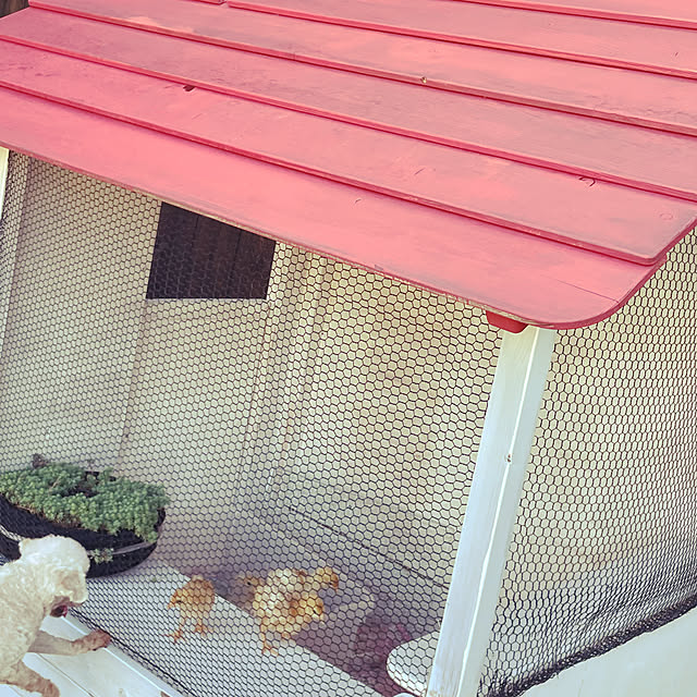 nekosamaさんの実例写真