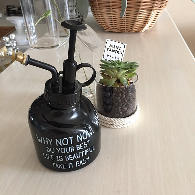 Minteaさんの実例写真