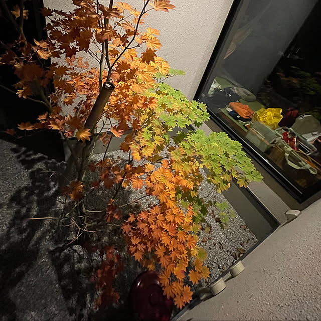 実例写真